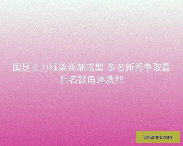 国足主力框架逐渐成型 多名新秀争取最后名额角逐激烈