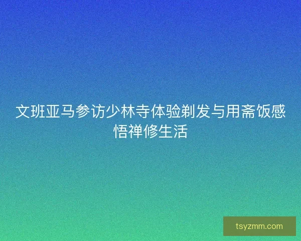 文班亚马参访少林寺体验剃发与用斋饭感悟禅修生活