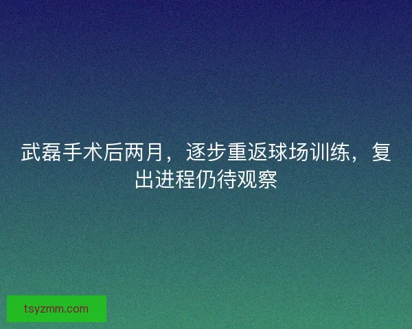 武磊手术后两月，逐步重返球场训练，复出进程仍待观察